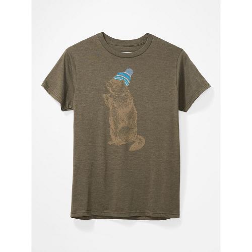 Marmot Pom Pom T-Shirts For Mens Brown ACQ071629